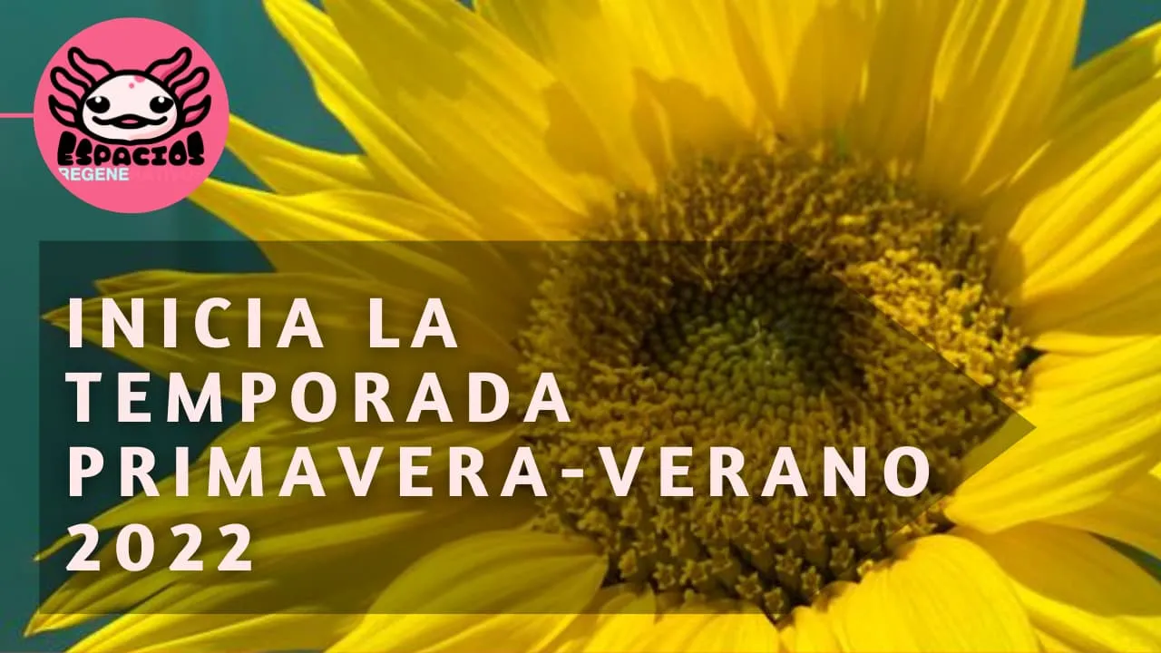 Regenera