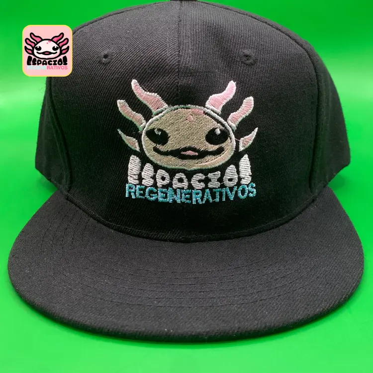 gorra bodada 1